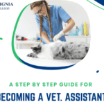 A Step by Step Guide to Becoming a Vet Assistant in Canada